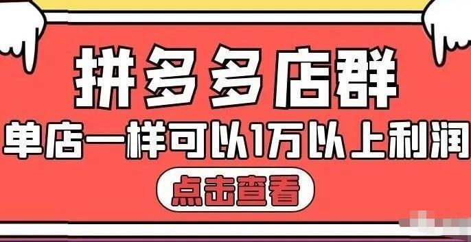 拼多多店群单店一样可以产出1万5以上利润【付费文章】-天天资源网