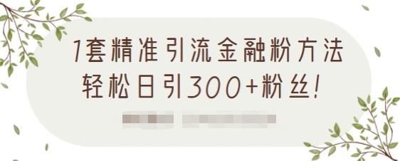 1套精准引流金融粉方法，轻松日引300 粉丝【视频课程】-天天资源网