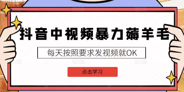 2022抖音中视频暴力薅羊毛白嫖项目：新号每天20块，老号几天几百块，可多号-天天资源网