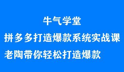 牛气学堂拼多多打造爆款系统实战课，老陶带你轻松打造爆款-天天资源网