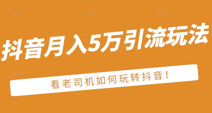 老古董·抖音月入5万引流玩法，看看老司机如何玩转抖音(附赠：抖音另类引流思路)-天天资源网