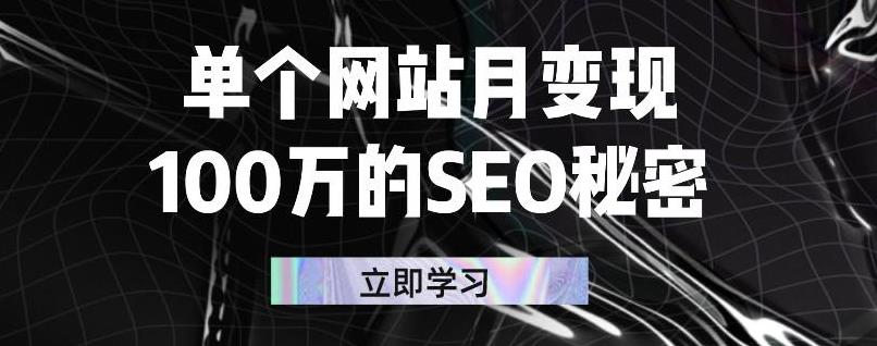 单个网站月变现100万的SEO秘密，百分百做出赚钱站点-天天资源网
