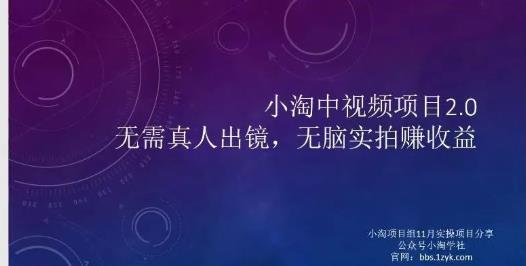 小淘项目组网赚永久会员，绝对是具有实操价值的，适合有项目做需要流程【持续更新】-天天资源网