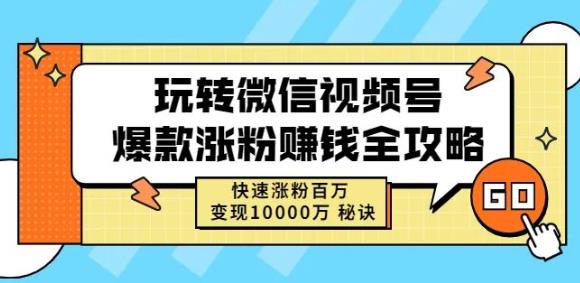 玩转微信视频号爆款涨粉赚钱全攻略，快速涨粉百万变现万元秘诀-天天资源网