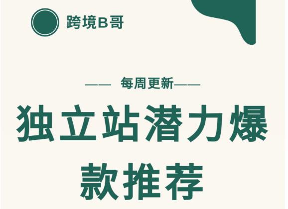 【跨境B哥】独立站潜力爆款选品推荐，测款出单率高达百分之80（每周更新）-天天资源网