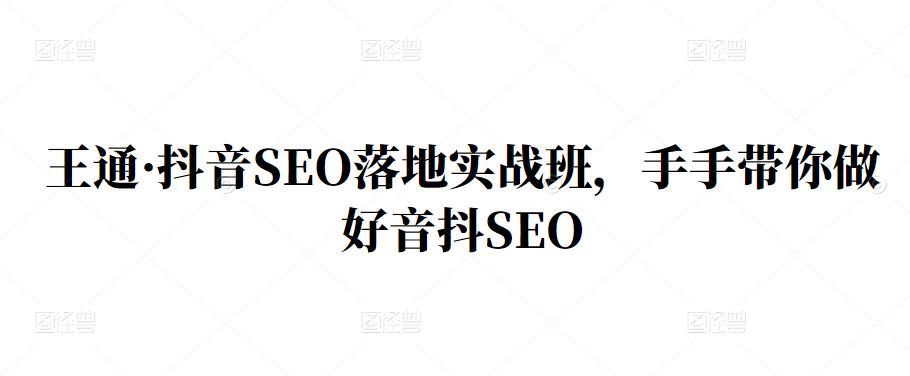 王通·抖音SEO落地实战班，手‬手带你做好音抖‬‬SEO-天天资源网