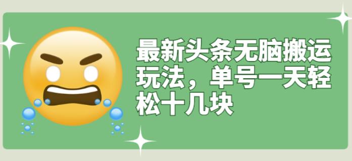 最新头条无脑搬运玩法，单号一天轻松十几块【视频教程 搬运软件】-天天资源网