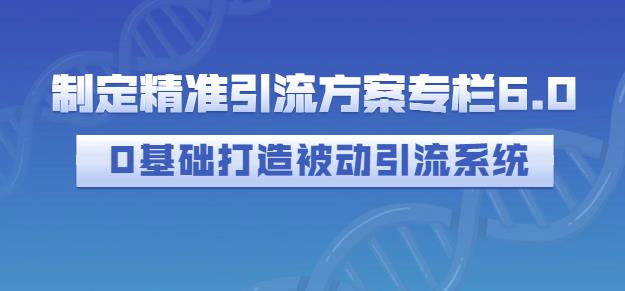 制定精准引流方案专栏6.0，0基础打造被动引流系统-天天资源网