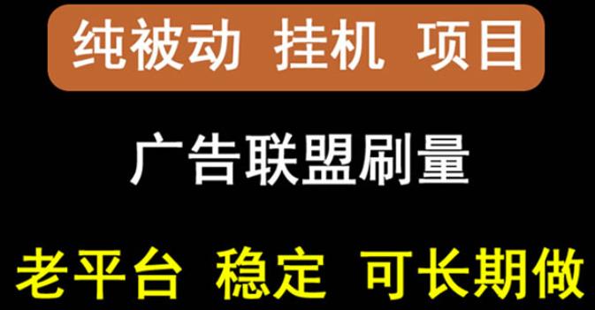 【稳定挂机】oneptp出海广告联盟挂机项目，每天躺赚几块钱，多台批量多赚些-天天资源网