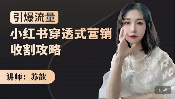 小红书穿透式营销收割攻略，引爆流量，助你玩转小红书-天天资源网