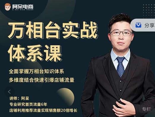 阿呆-万相台实战体系课，帮您全面掌握万相台知识体系-天天资源网