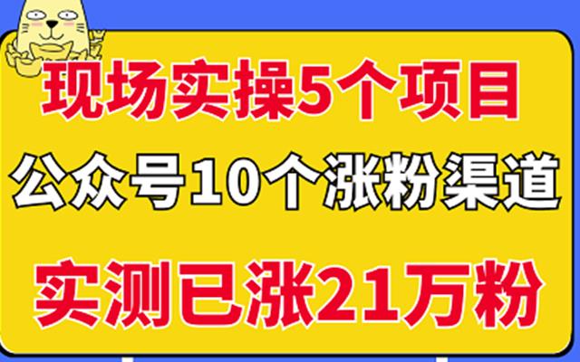 现场实操5个公众号项目，10个涨粉渠道，实测已涨21万粉！-天天资源网