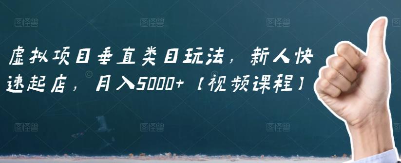 虚拟项目垂直类目玩法，新人快速起店，月入5000 【视频课程】-天天资源网