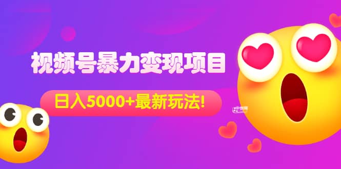 外面收费699的视频号暴力变现项目，日入5000 ，简单易操作当天见效果-天天资源网
