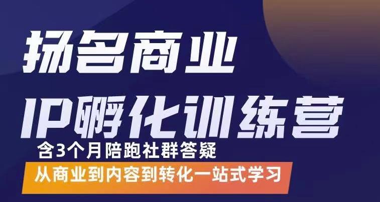 杨名商业IP孵化训练营，从商业到内容到转化一站式学 价值5980元-天天资源网