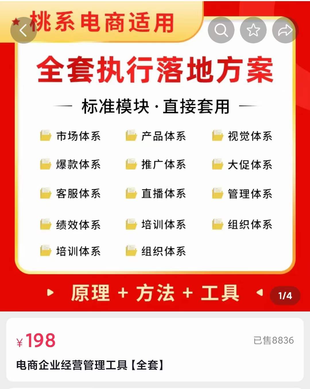 外面卖198·电商企业经营管理工具：全套执行落地方案 标准模块·直接套用-天天资源网