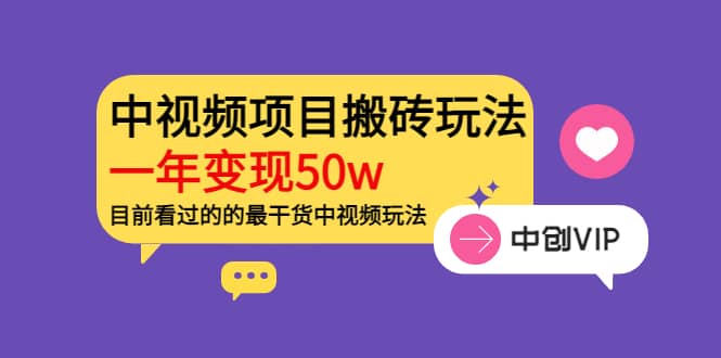 《老吴·中视频项目搬砖玩法，一年变现50w》目前看过的的最干货中视频玩法-天天资源网