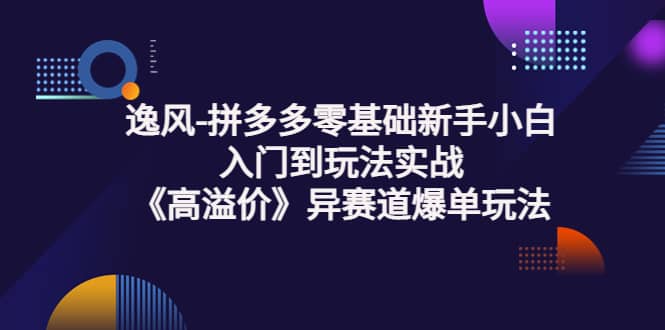 拼多多零基础新手小白入门到玩法实战《高溢价》异赛道爆单玩法实操课-天天资源网