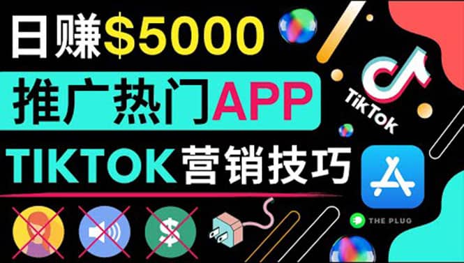 无需露脸，无需录音，无需投资，TIKTOK上传短视频，最高日入5000美元-天天资源网