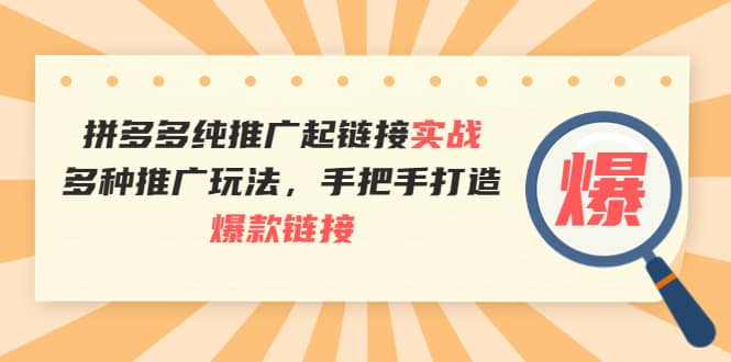 拼多多纯推广起链接实战：多种推广玩法，手把手打造爆款链接-天天资源网