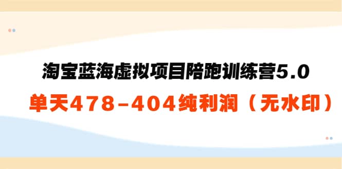 淘宝蓝海虚拟项目陪跑训练营5.0：单天478纯利润（无水印）-天天资源网