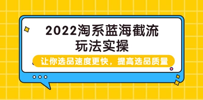 2022淘系蓝海截流玩法实操：让你选品速度更快，提高选品质量（价值599）-天天资源网