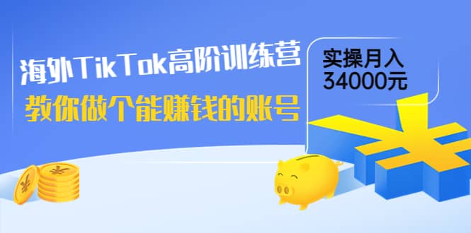 海外TikTok高阶训练营：教你做个能赚钱的账号，实操月入34000元！-天天资源网