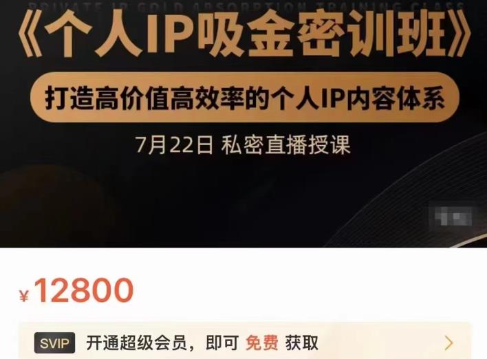 个人IP吸金密训班，打造高价值高效率的个人IP内容体系（价值12800元）-天天资源网