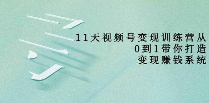 好望角·11天视频号变现训练营，从0到1打造变现赚钱系统（价值398）-天天资源网
