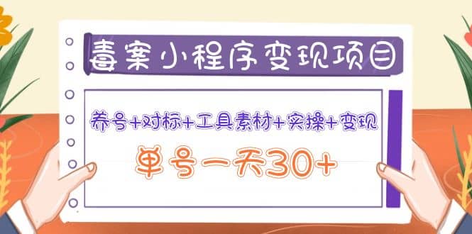 毒案小程序变现项目：养号 对标 工具素材 实操 变现-天天资源网