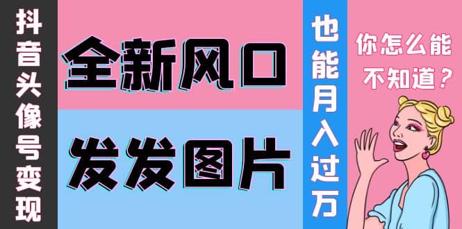 抖音头像号变现0基础教程-天天资源网