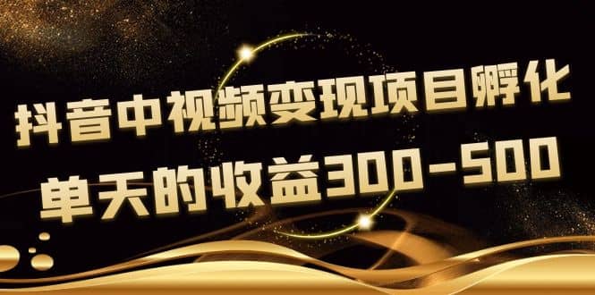 黄岛主《抖音中视频变现项目孵化》单天的收益300-500 操作简单粗暴-天天资源网
