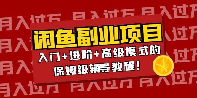 月入过万闲鱼副业项目：入门 进阶 高级模式的保姆级辅导教程-天天资源网