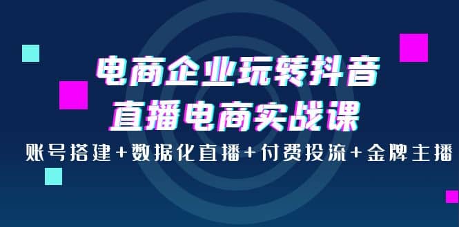 电商企业玩转抖音直播电商实战课：账号搭建 数据化直播 付费投流 金牌主播-天天资源网