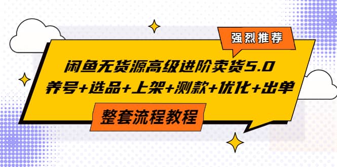 闲鱼无货源高级进阶卖货5.0，养号 选品 上架 测款 优化 出单整套流程教程-天天资源网