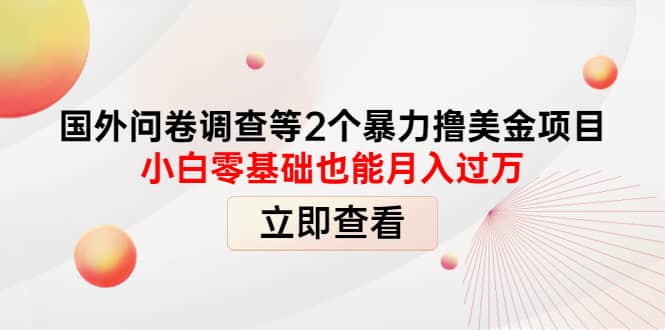 国外问卷调查等2个暴力撸美元项目，小白零基础也能月入过万-天天资源网