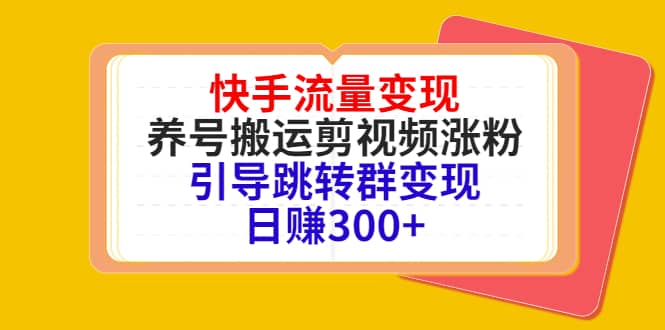 快手流量变现，养号搬运剪视频涨粉，引导跳转群变现日赚300-天天资源网