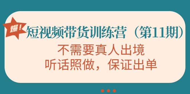 短视频带货训练营（第11期），不需要真人出境，听话照做，保证出单-天天资源网