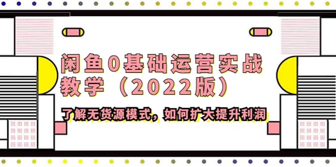 闲鱼0基础运营实战教学（2022版）了解无货源模式，如何扩大提升利润-天天资源网