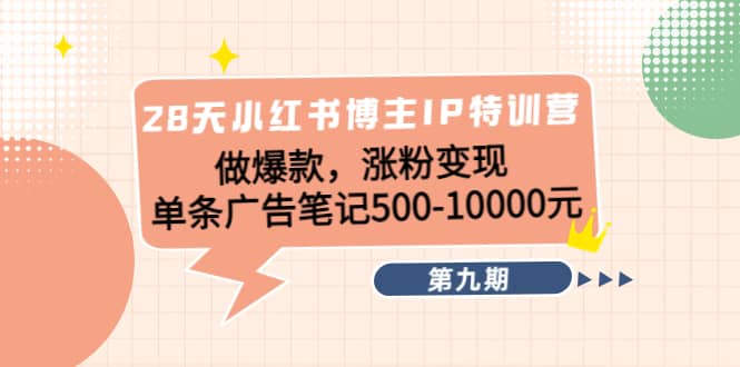 28天小红书博主IP特训营《第9期》-天天资源网