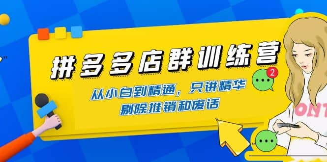 拼多多店群训练营：从小白到精通，只讲精华，剔除推销和废话-天天资源网