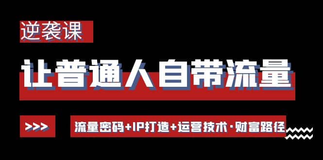 让普通人自带流量的逆袭课：流量密码 IP打造 运营技术·财富路径-天天资源网
