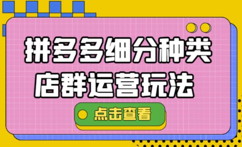 拼多多细分种类店群运营玩法3.0，11月最新玩法，小白也可以操作-天天资源网