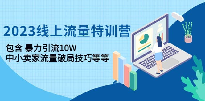 2023线上流量特训营：中小卖家流量破局技巧等等-天天资源网