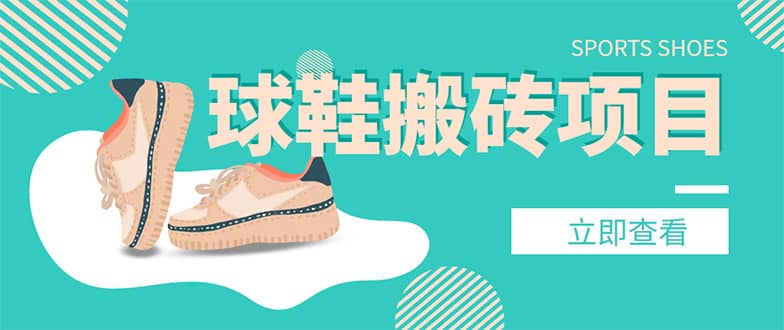 外面收费998的球鞋搬砖项目【详细教程 资源渠道】-天天资源网