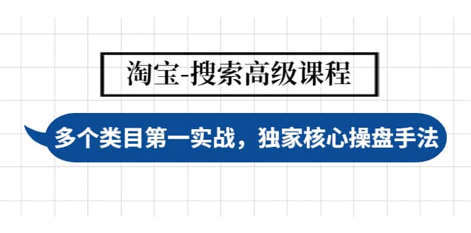 淘宝-搜索高级课程：多个类目第一实战，独家核心操盘手法-天天资源网