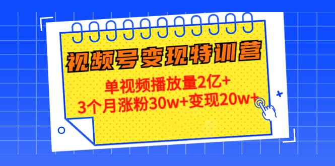 20天视频号变现特训营：单视频播放量2亿-天天资源网