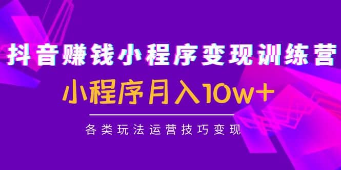 抖音小程序变现训练营：小程序各类玩法运营技巧变现-天天资源网