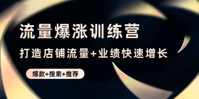 流量爆涨训练营：打造店铺流量 业绩快速增长 (爆款 搜索 推荐)-天天资源网