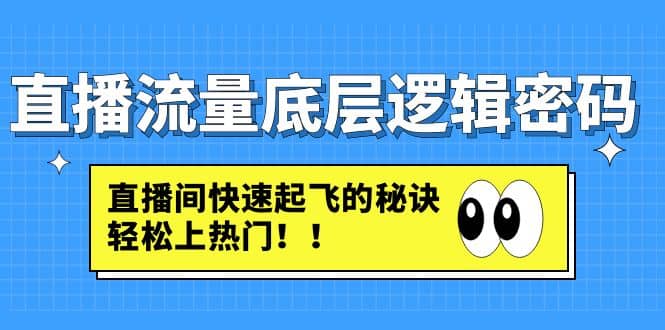 直播流量底层逻辑密码：直播间快速起飞的秘诀，轻松上热门-天天资源网
